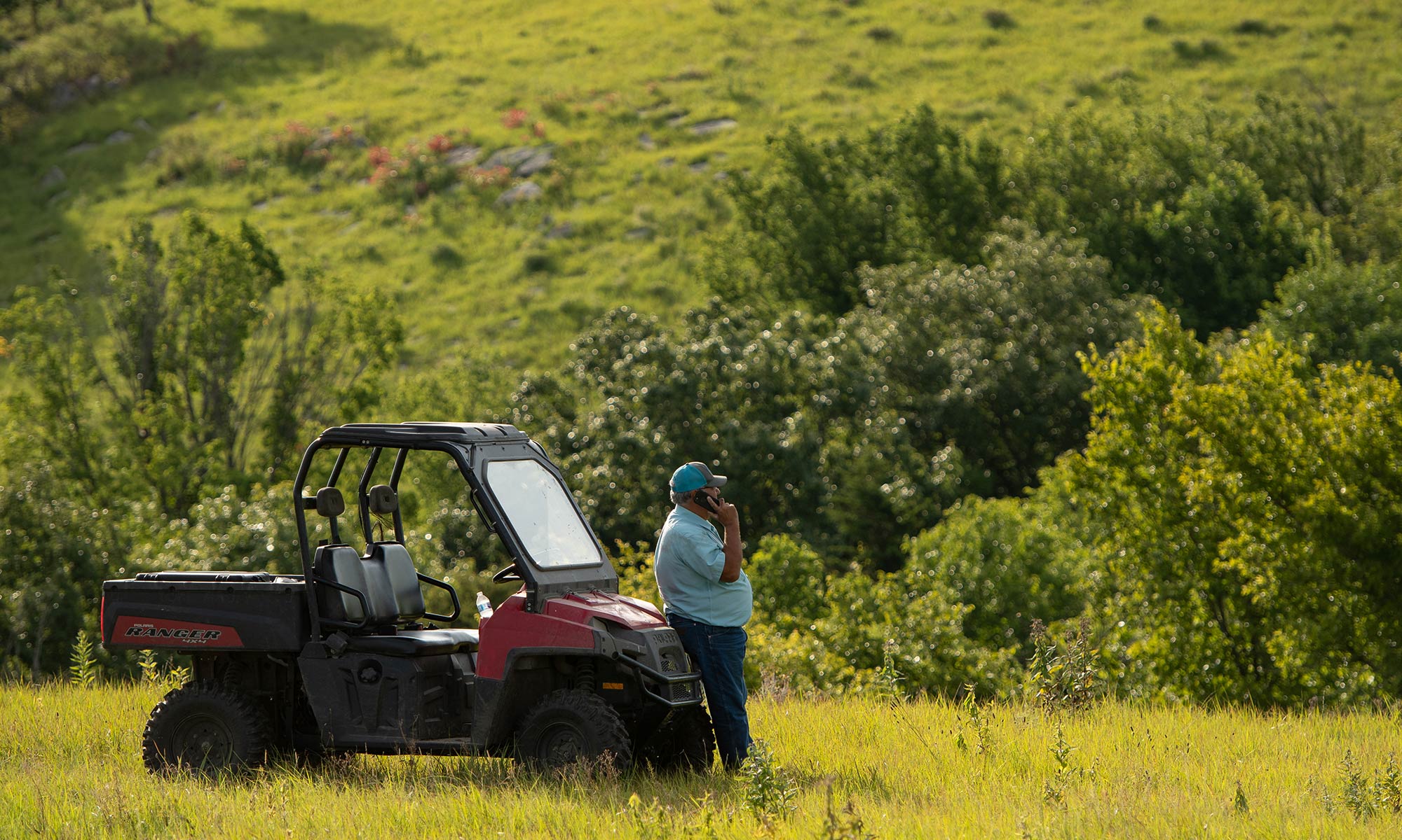 John Slocombe in field on phone